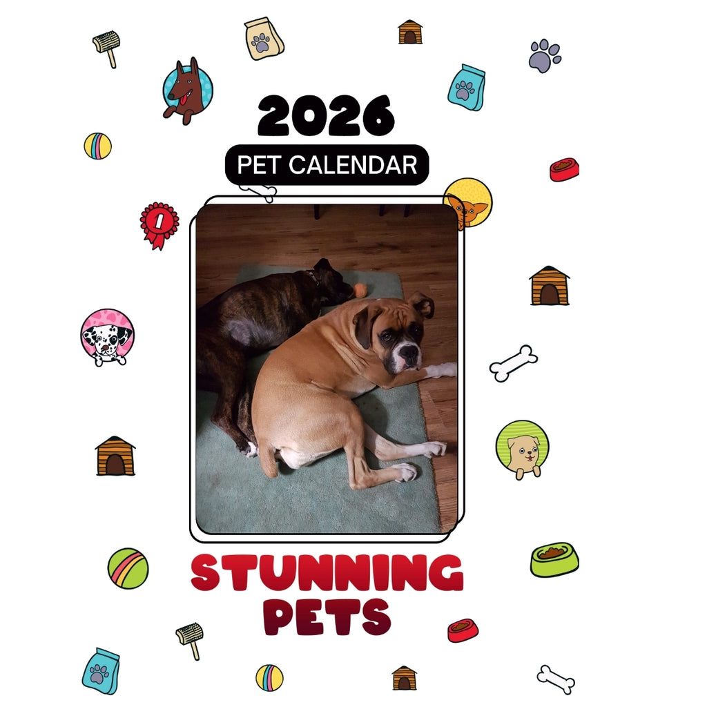 Kabella..Brindle,Marley..Fawn, Shelby,Fawn, Rocco..English Bulldog Brindle Headlines Stunning Pets: A 2026 Pet Calendar