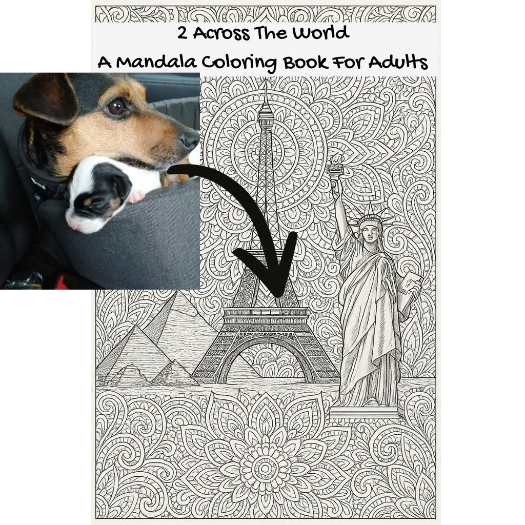 2 Across The World: A Mandala Coloring Book For Adults