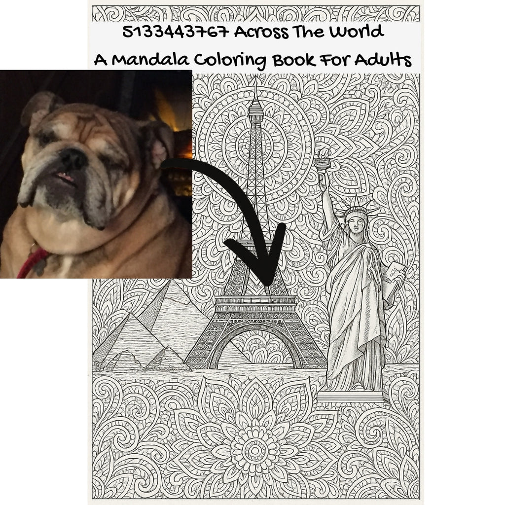 5133443767 Across The World: A Mandala Coloring Book For Adults