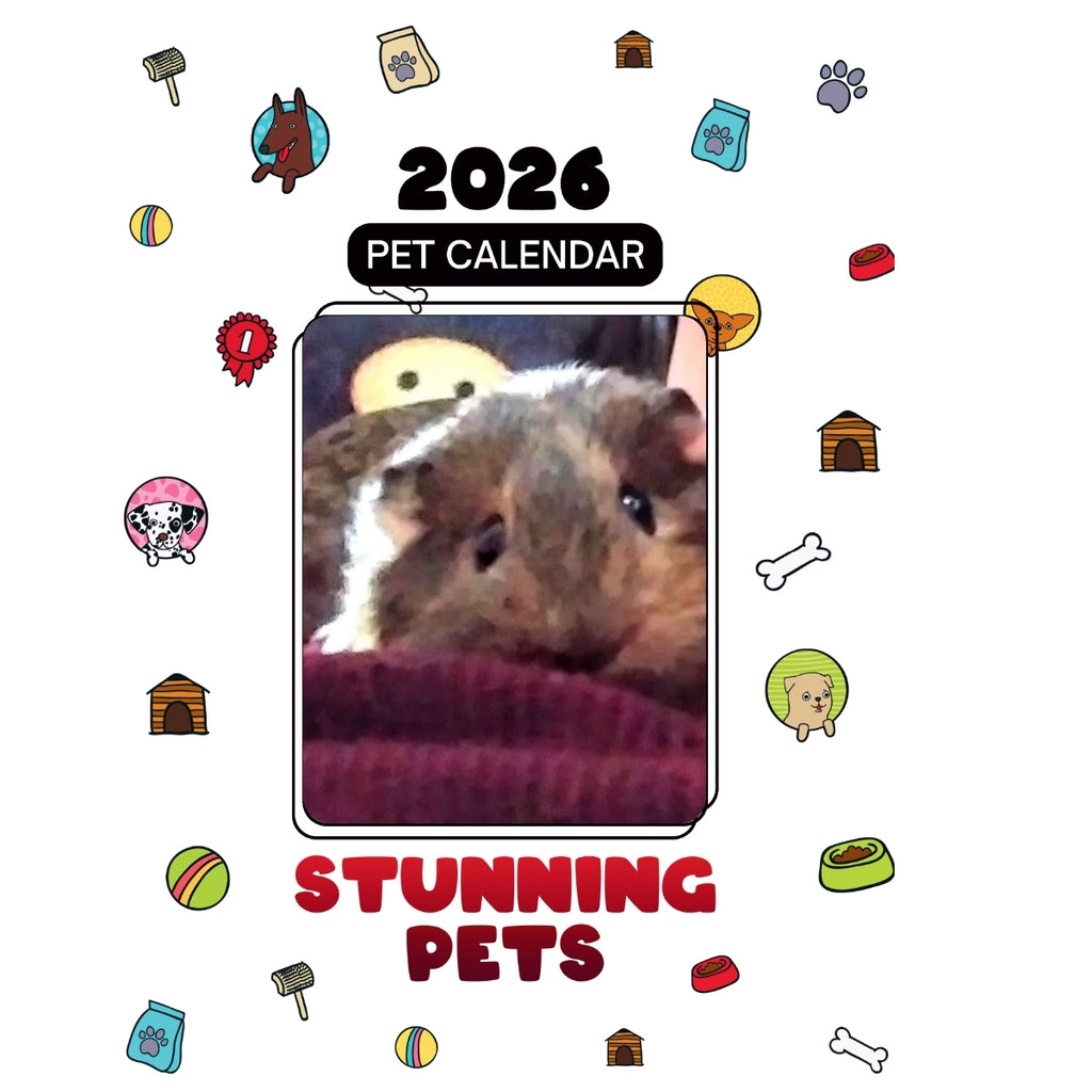 Piggy The Guinea Pig Headlines Stunning Pets: A 2026 Pet Calendar