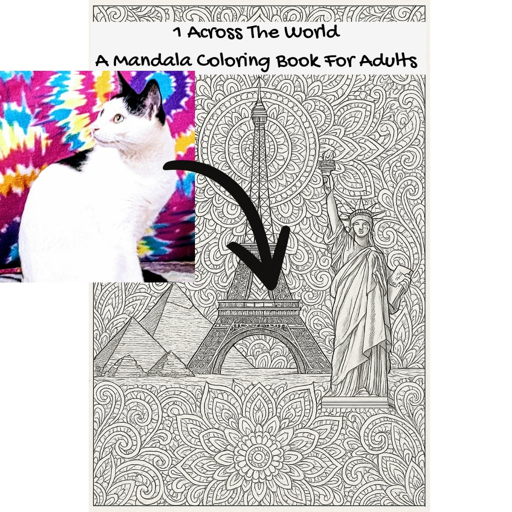 1 Across The World: A Mandala Coloring Book For Adults