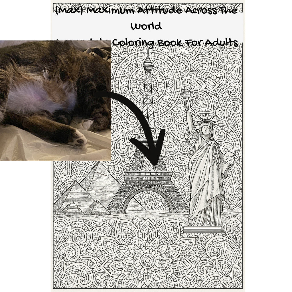 (Max) Maximum Attitude Across The World: A Mandala Coloring Book For Adults