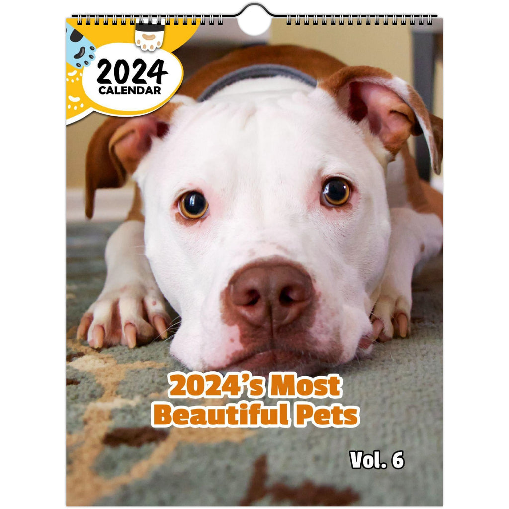 2024's Most Beautiful Pets Volume Six: 2024 Wall Calendar (Published)