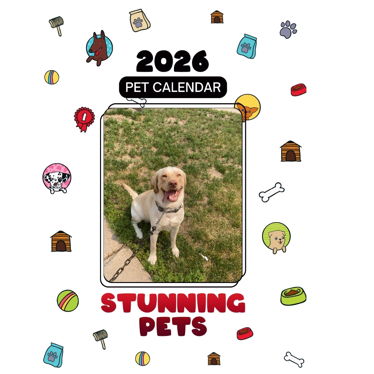 715-741-8269 Headlines Stunning Pets: A 2026 Pet Calendar