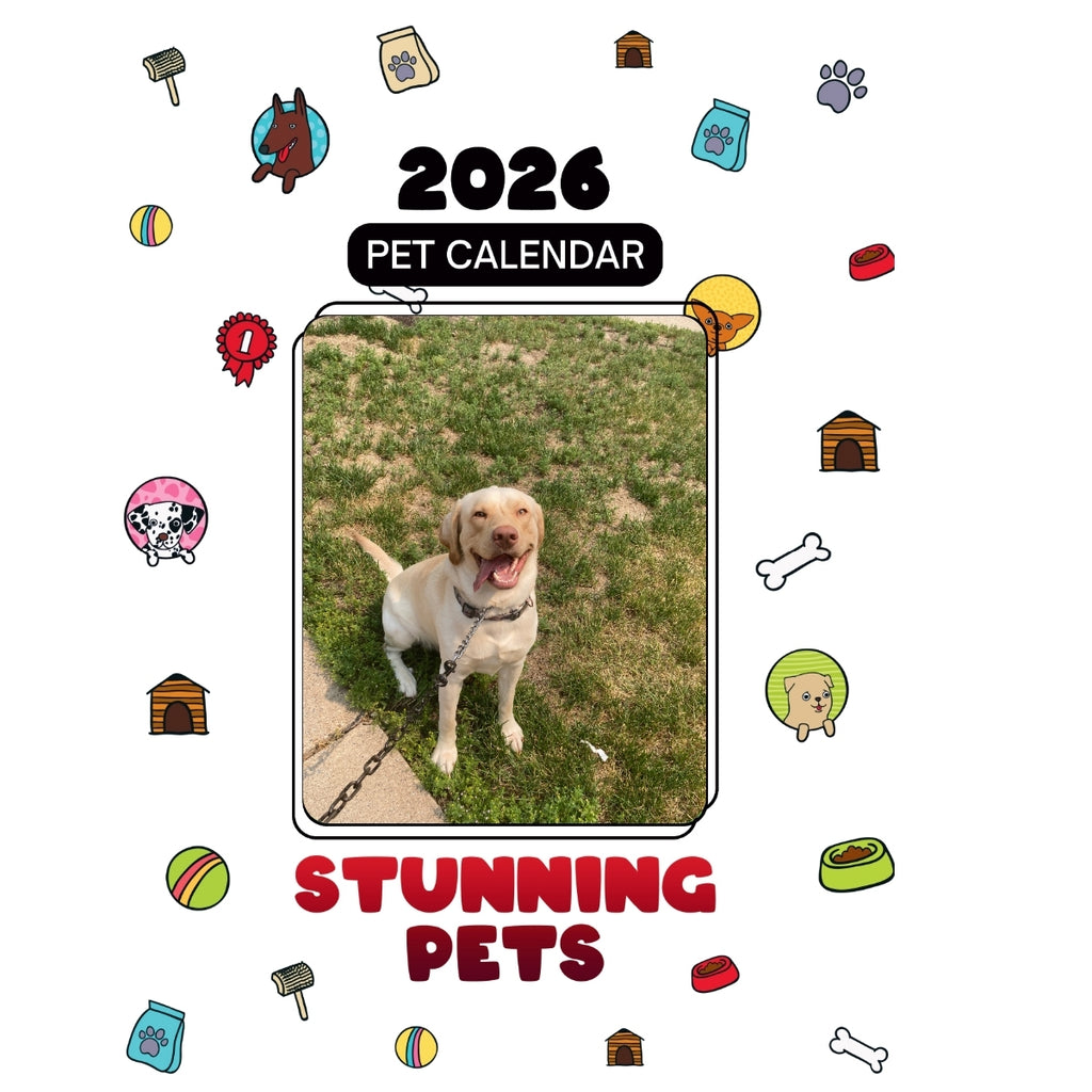 715-741-8269 Headlines Stunning Pets: A 2026 Pet Calendar