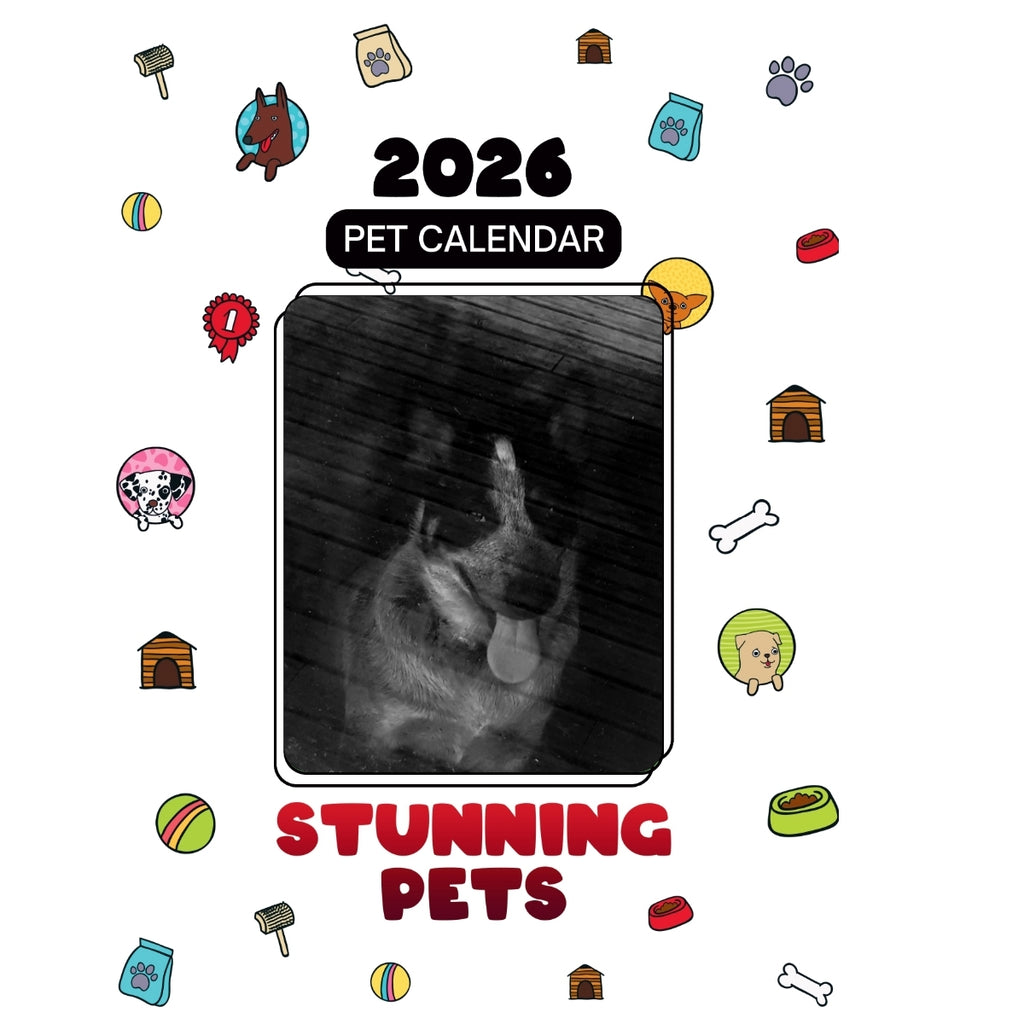 1 Headlines Stunning Pets: A 2026 Pet Calendar