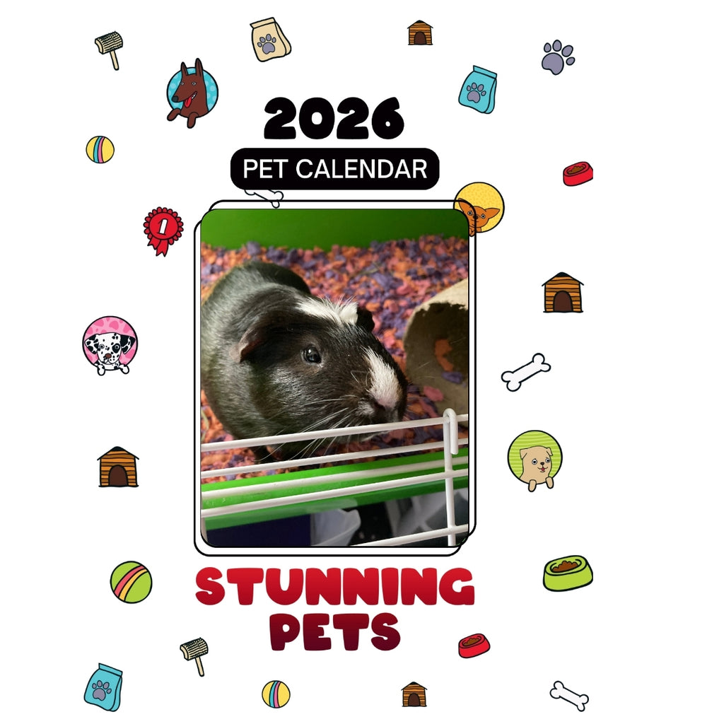 Guinea Pig Headlines Stunning Pets: A 2026 Pet Calendar
