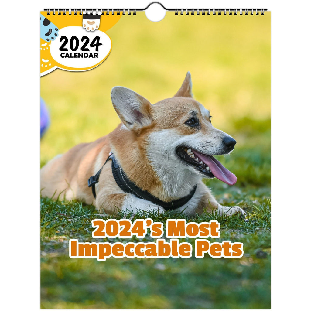 2024's Most Impeccable Pets: 2024 Wall Calendar (Published)