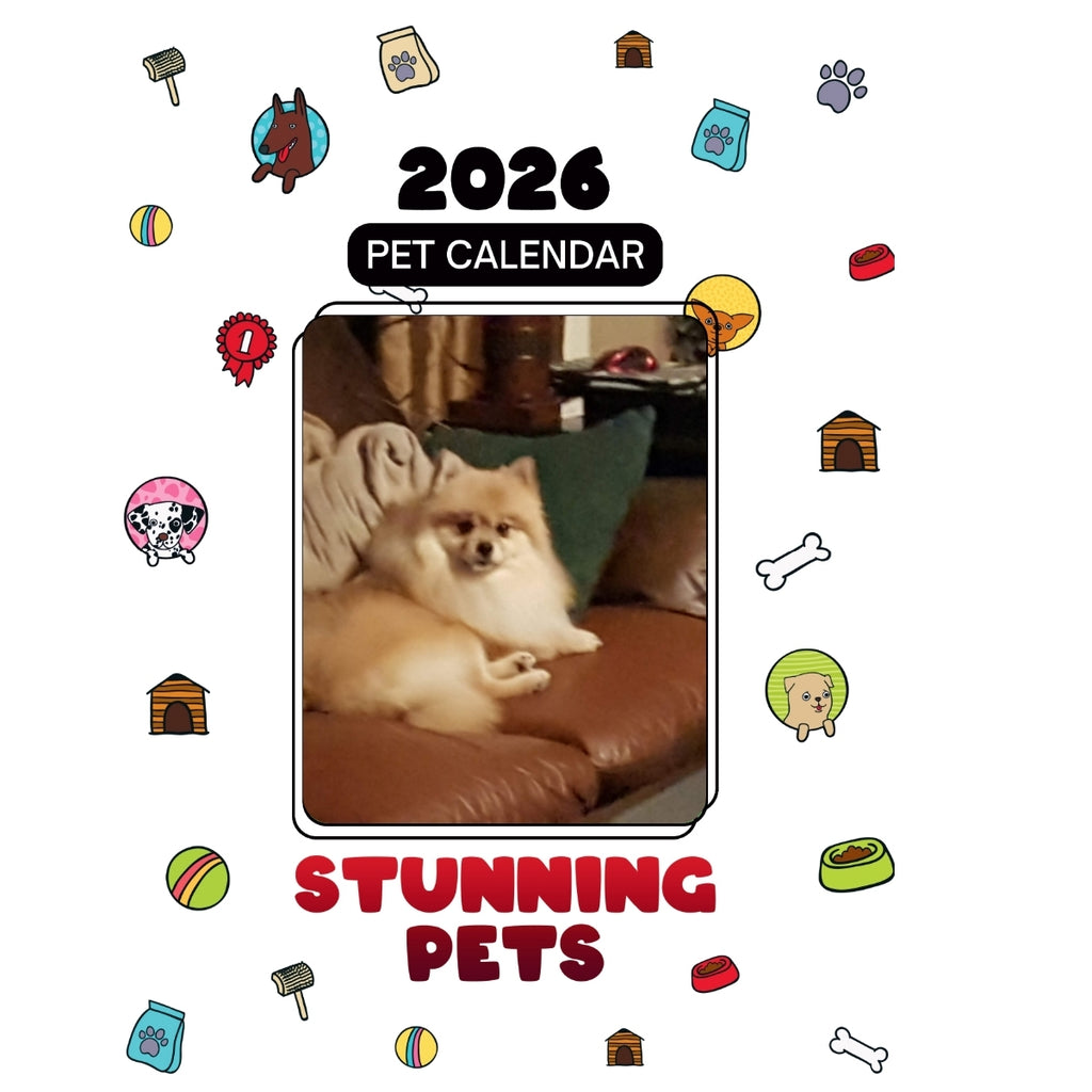 1 Headlines Stunning Pets: A 2026 Pet Calendar