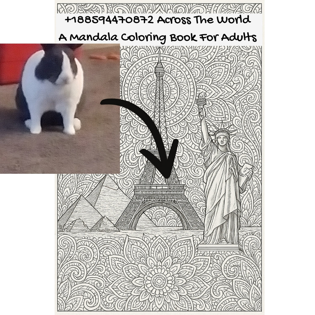 +188594470872 Across The World: A Mandala Coloring Book For Adults