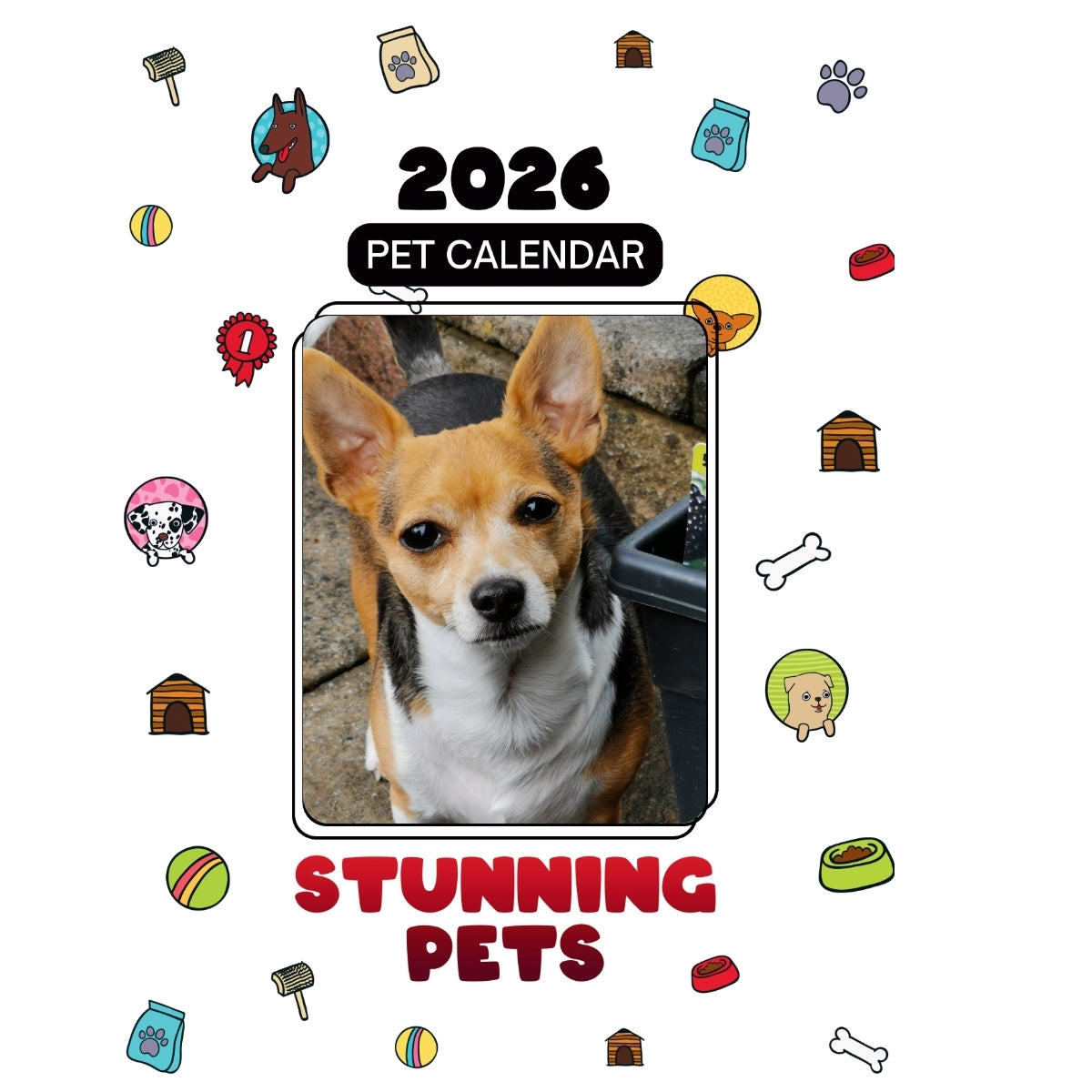 1 Headlines Stunning Pets: A 2026 Pet Calendar