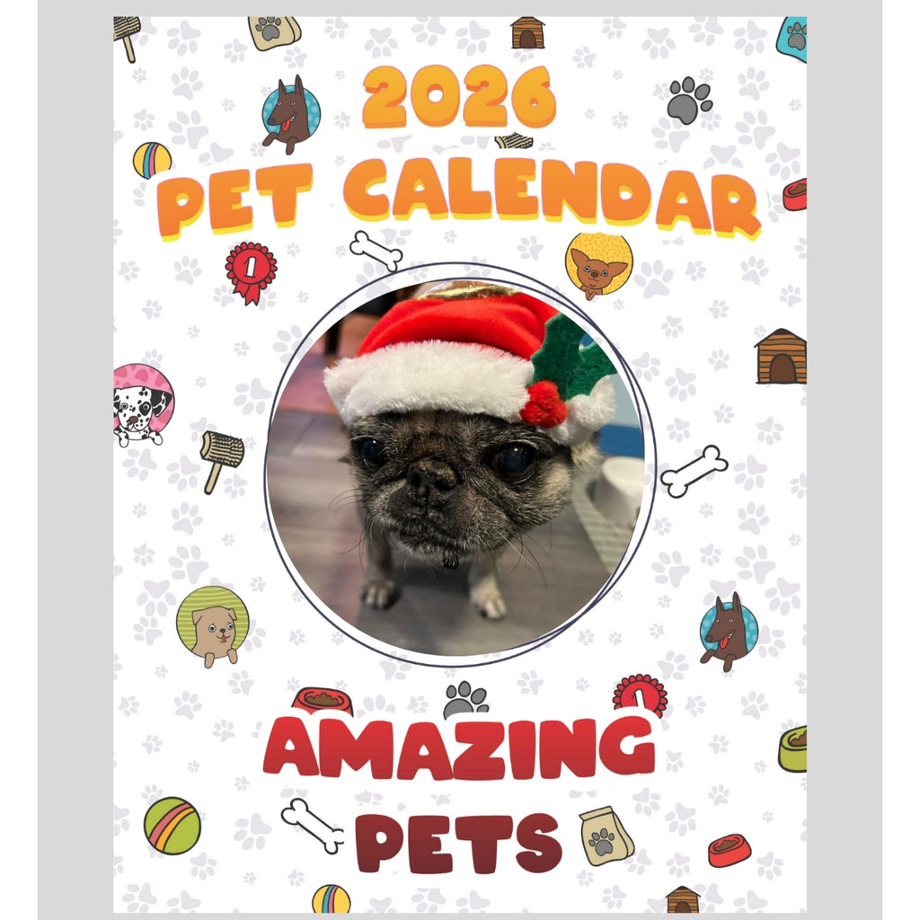Pugly Stars in Amazing Pets: A 2026 Pet Calendar