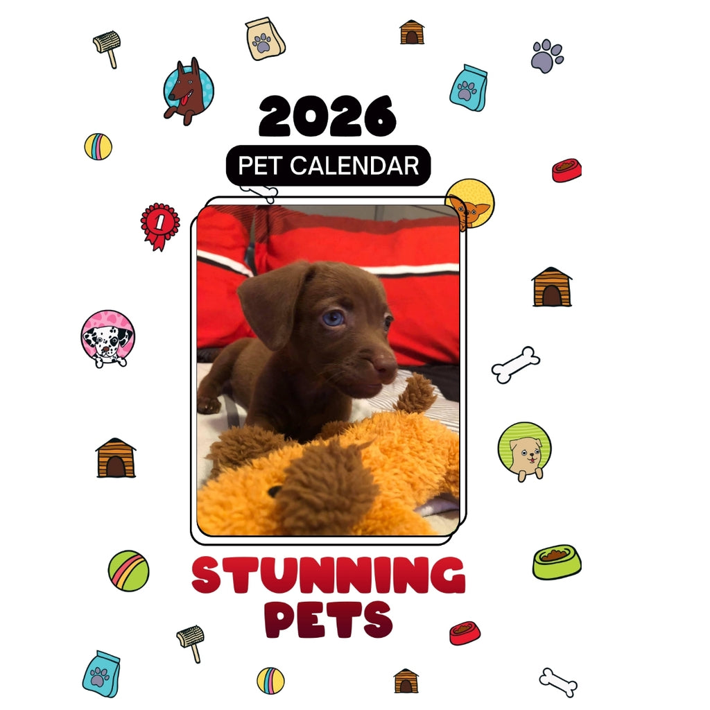 4077751062 Headlines Stunning Pets: A 2026 Pet Calendar