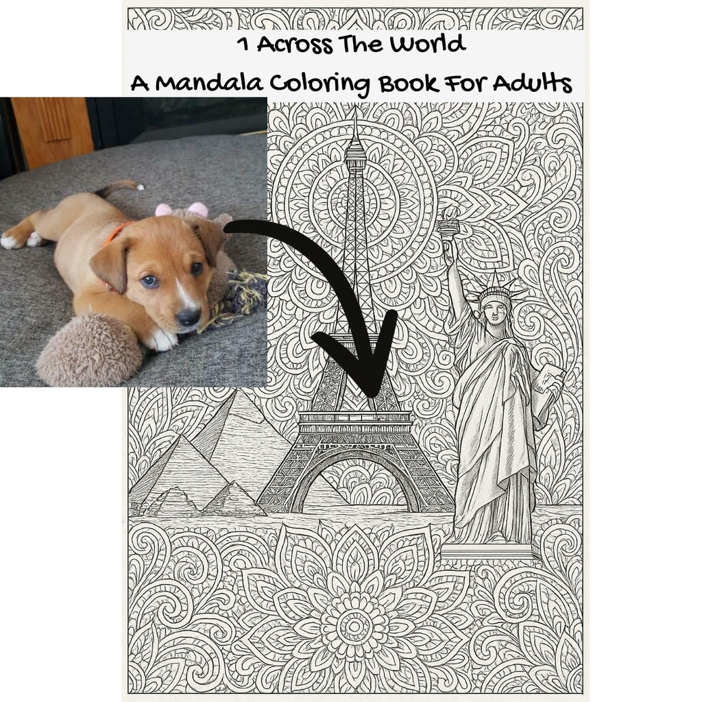 1 Across The World: A Mandala Coloring Book For Adults