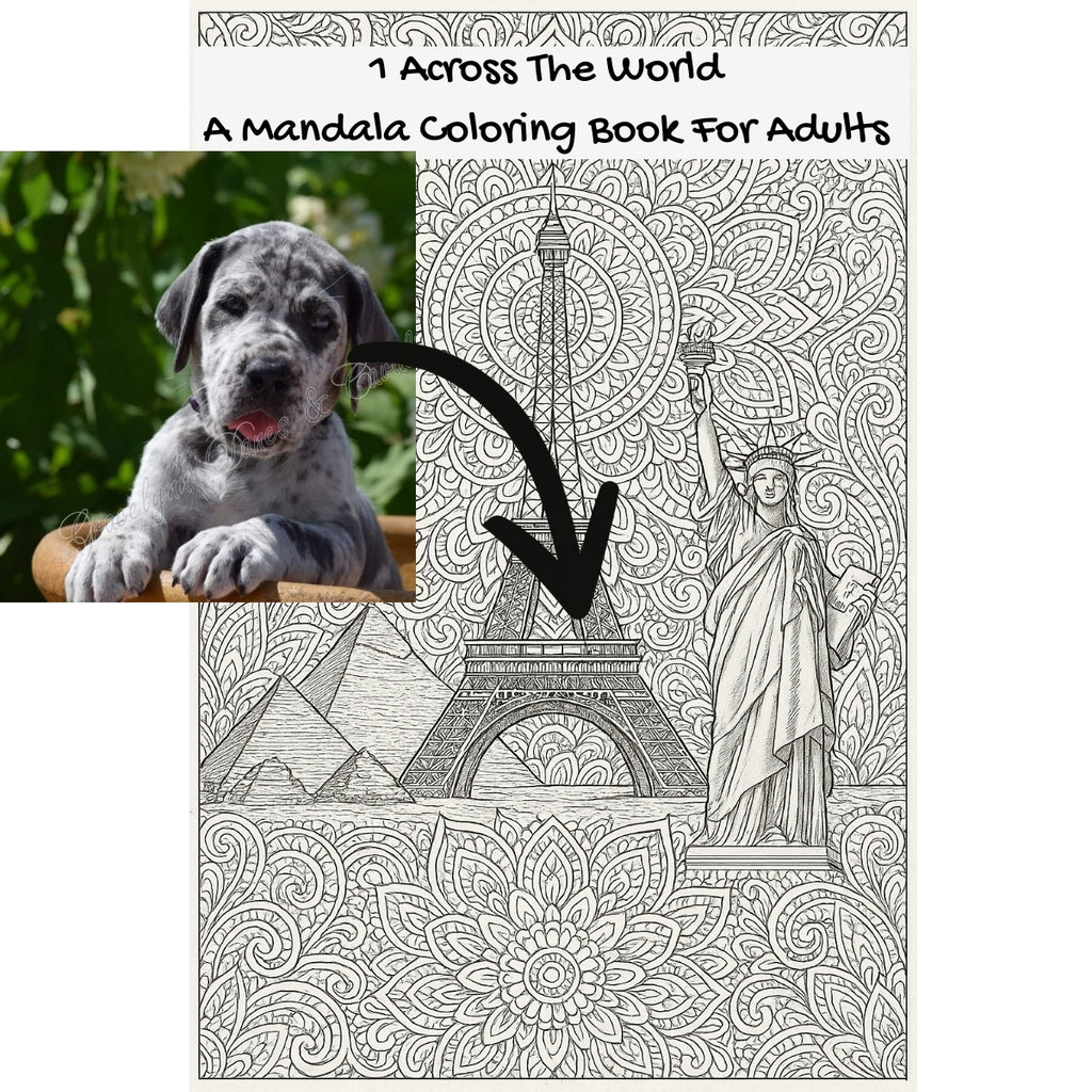 1 Across The World: A Mandala Coloring Book For Adults