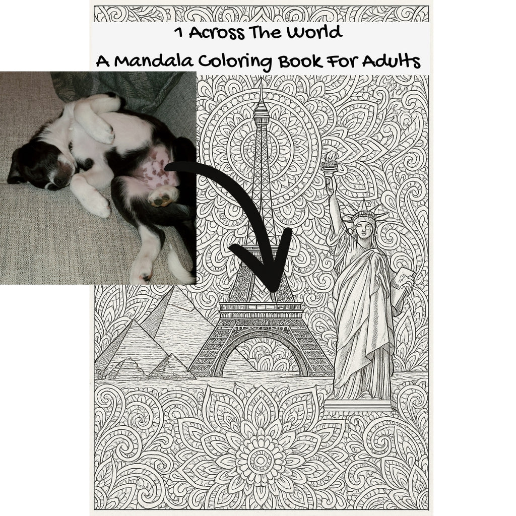 1 Across The World: A Mandala Coloring Book For Adults
