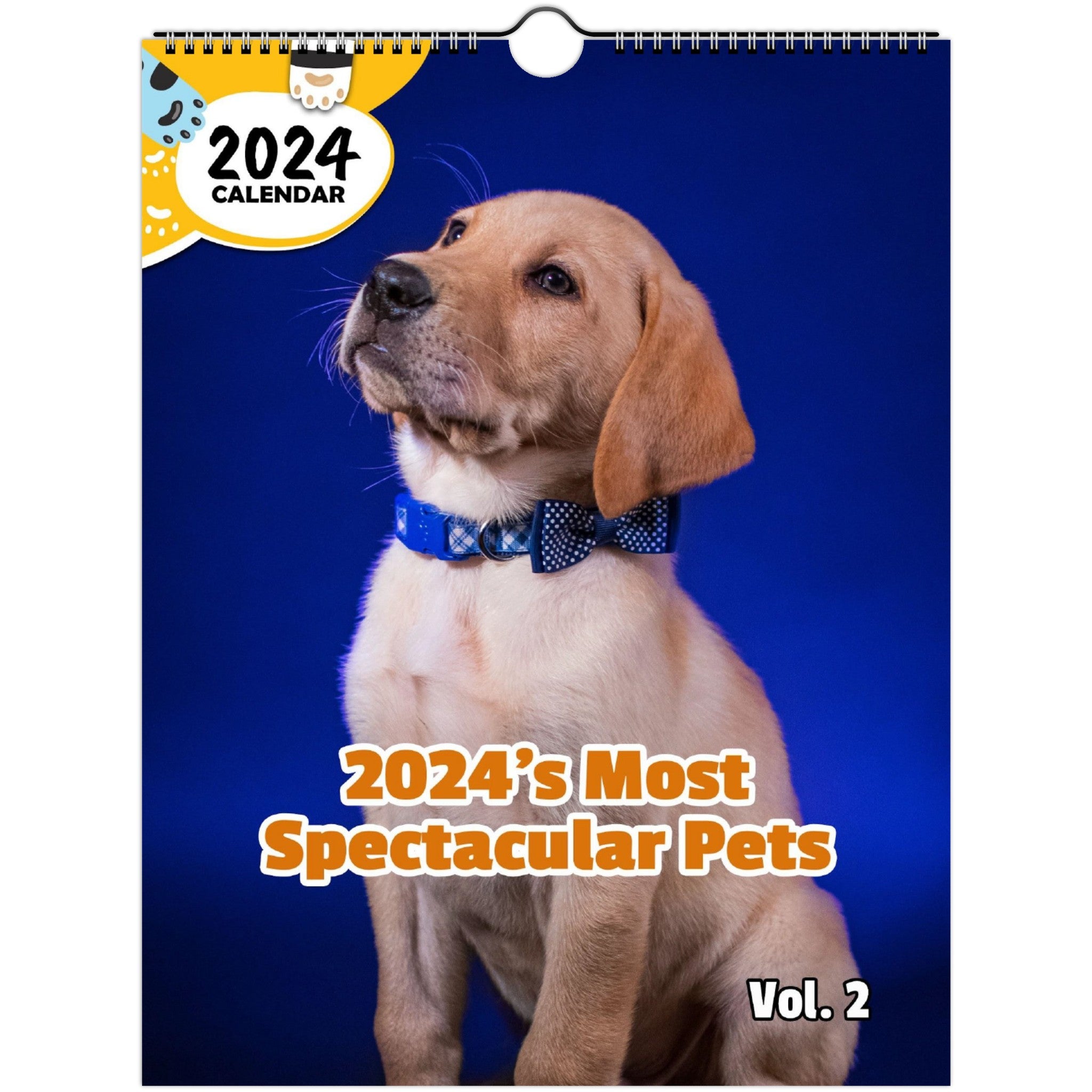 2024's Most Spectacular Pets Volume Two: 2024 Wall Calendar (Pre-Order)