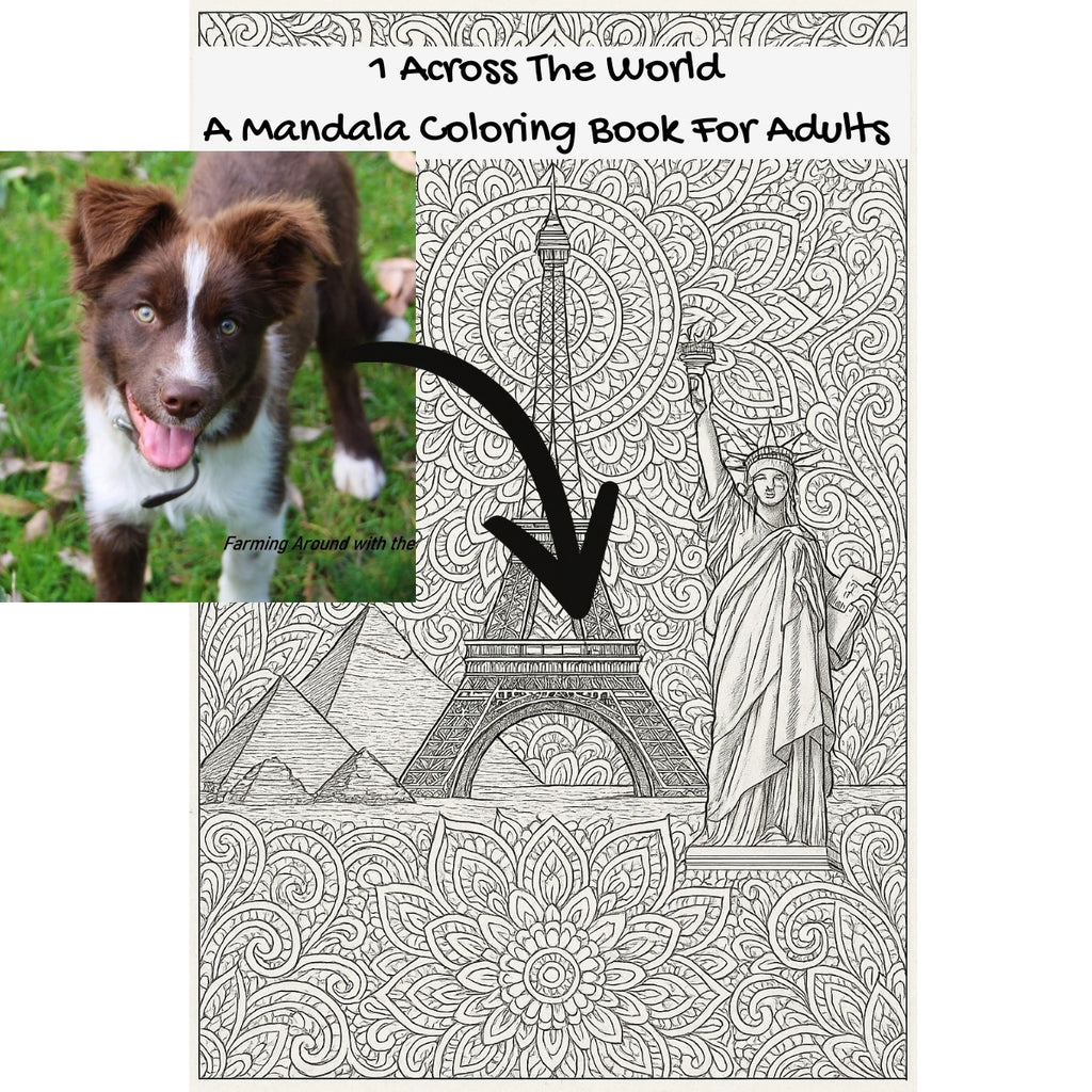 1 Across The World: A Mandala Coloring Book For Adults