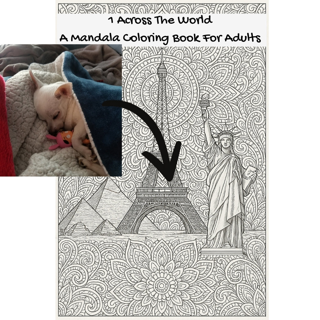 1 Across The World: A Mandala Coloring Book For Adults