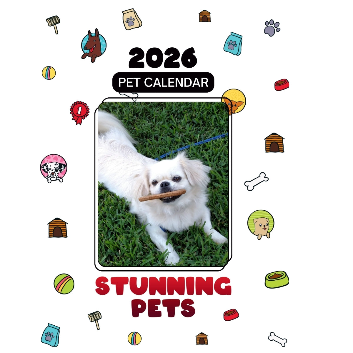 Kika Headlines Stunning Pets: A 2026 Pet Calendar