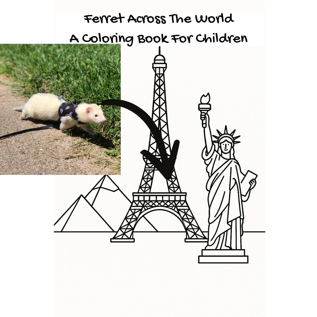 Ferret Across The World: A Coloring Book For Children