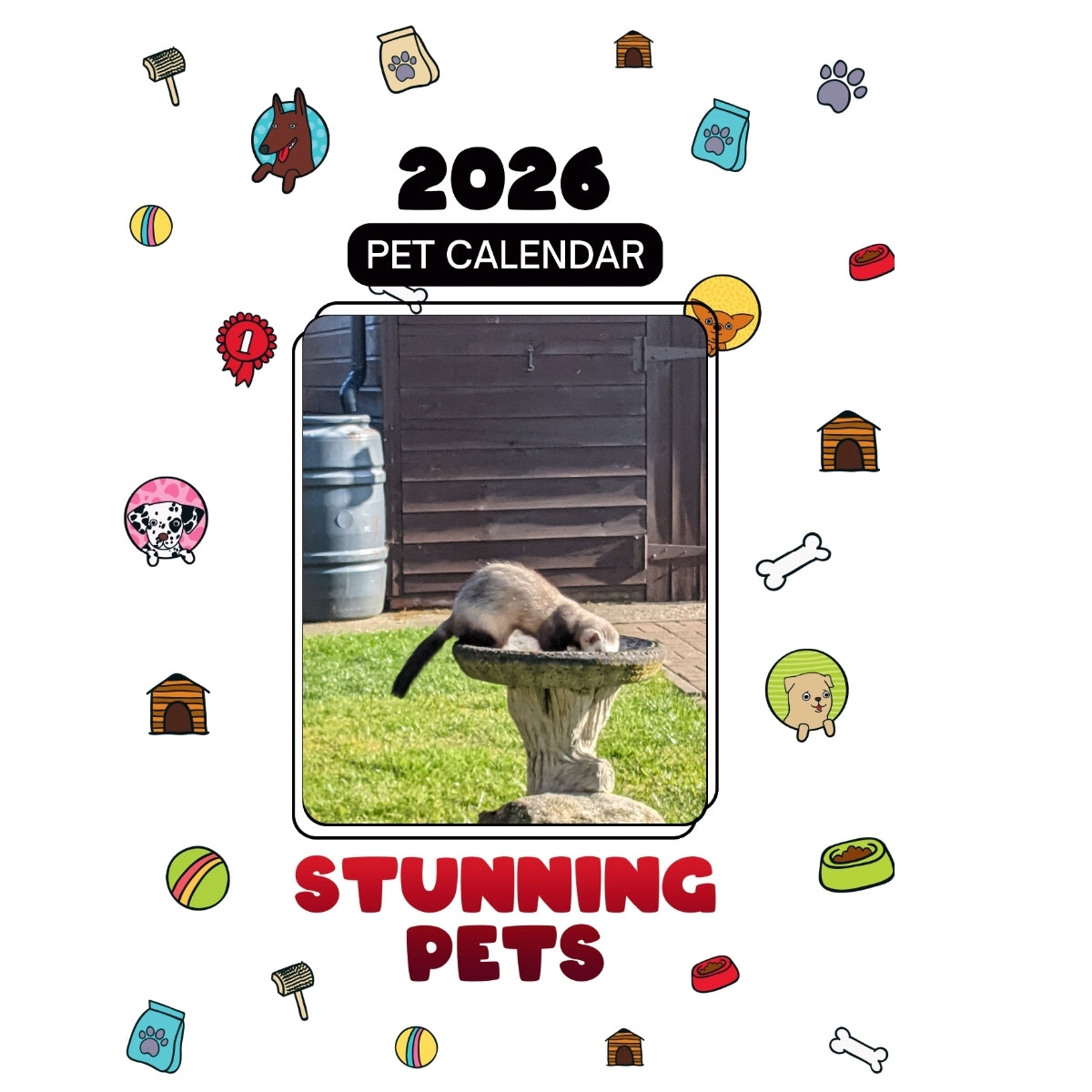 Panda A Ferret Headlines Stunning Pets: A 2026 Pet Calendar