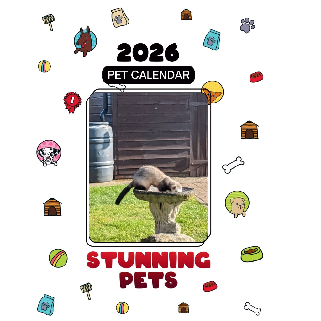 Panda A Ferret Headlines Stunning Pets: A 2026 Pet Calendar