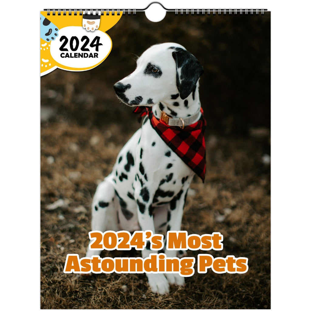 2024's Most Astounding Pets: 2024 Wall Calendar (Published)