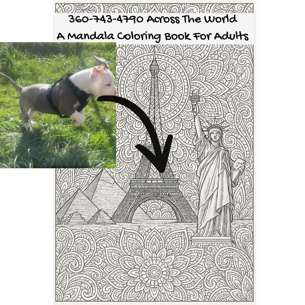 360-743-4790 Across The World: A Mandala Coloring Book For Adults