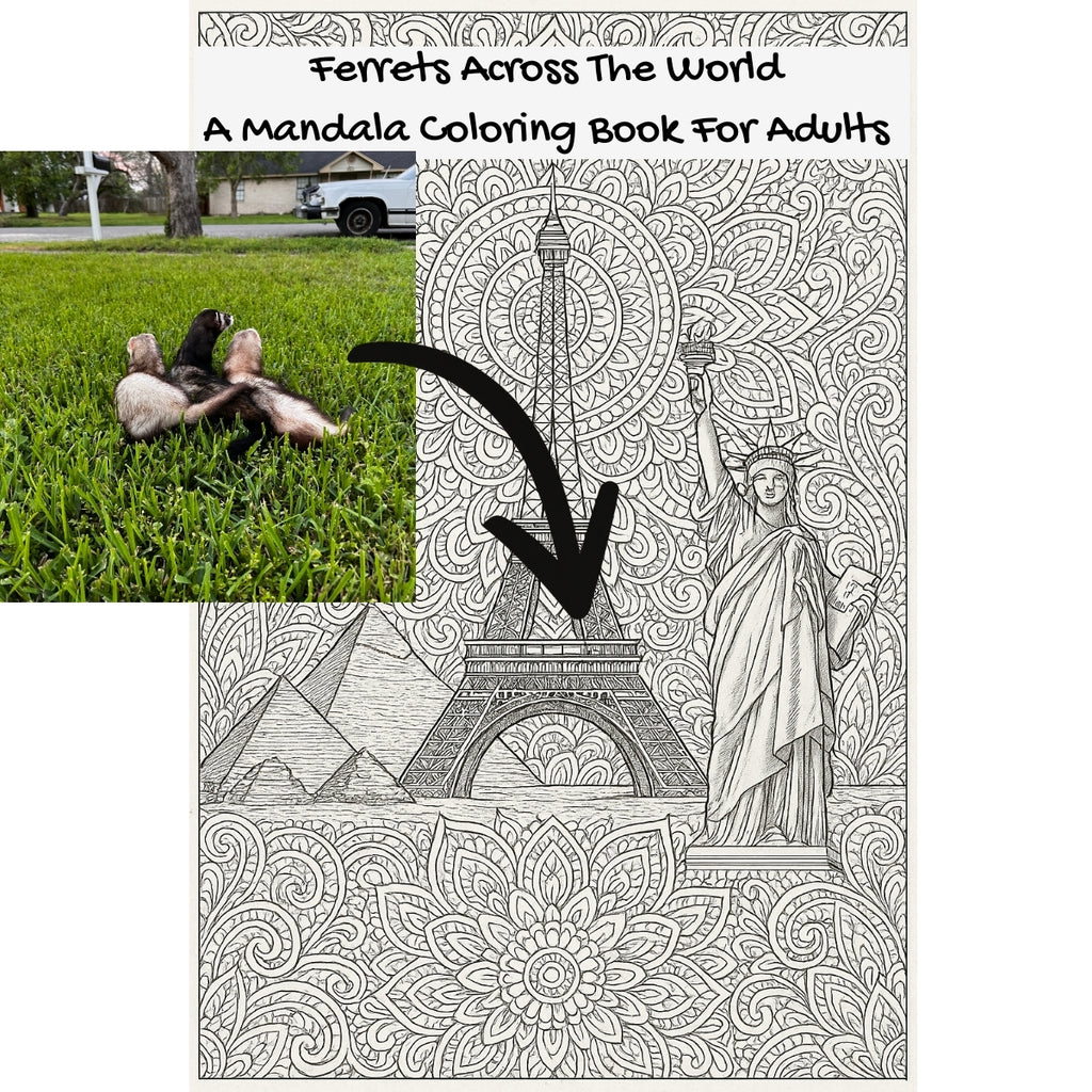 Ferrets Across The World: A Mandala Coloring Book For Adults