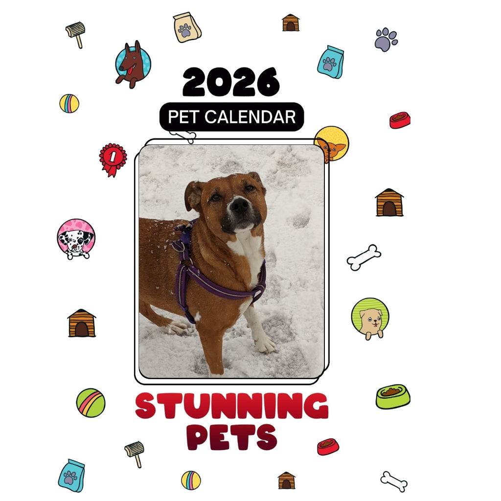1 Pet Only Headlines Stunning Pets: A 2026 Pet Calendar