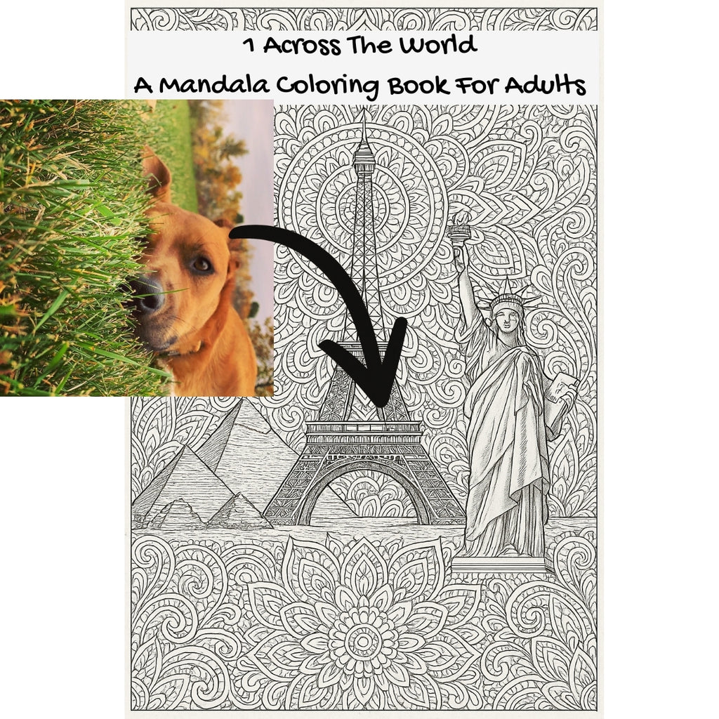 1 Across The World: A Mandala Coloring Book For Adults