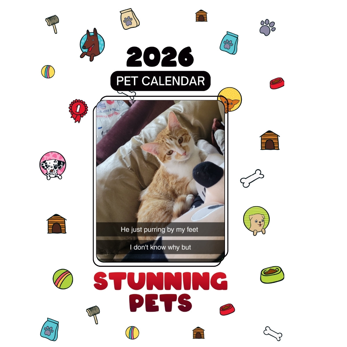 0Spidey Headlines Stunning Pets: A 2026 Pet Calendar