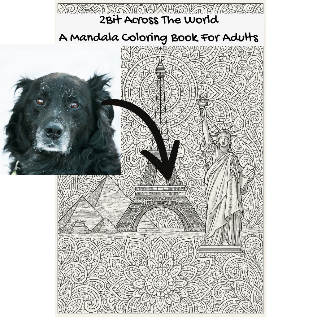 2Bit Across The World: A Mandala Coloring Book For Adults
