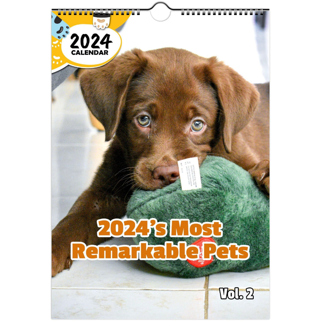2024's Most Remarkable Pets Volume Two: 2024 Wall Calendar (Published)