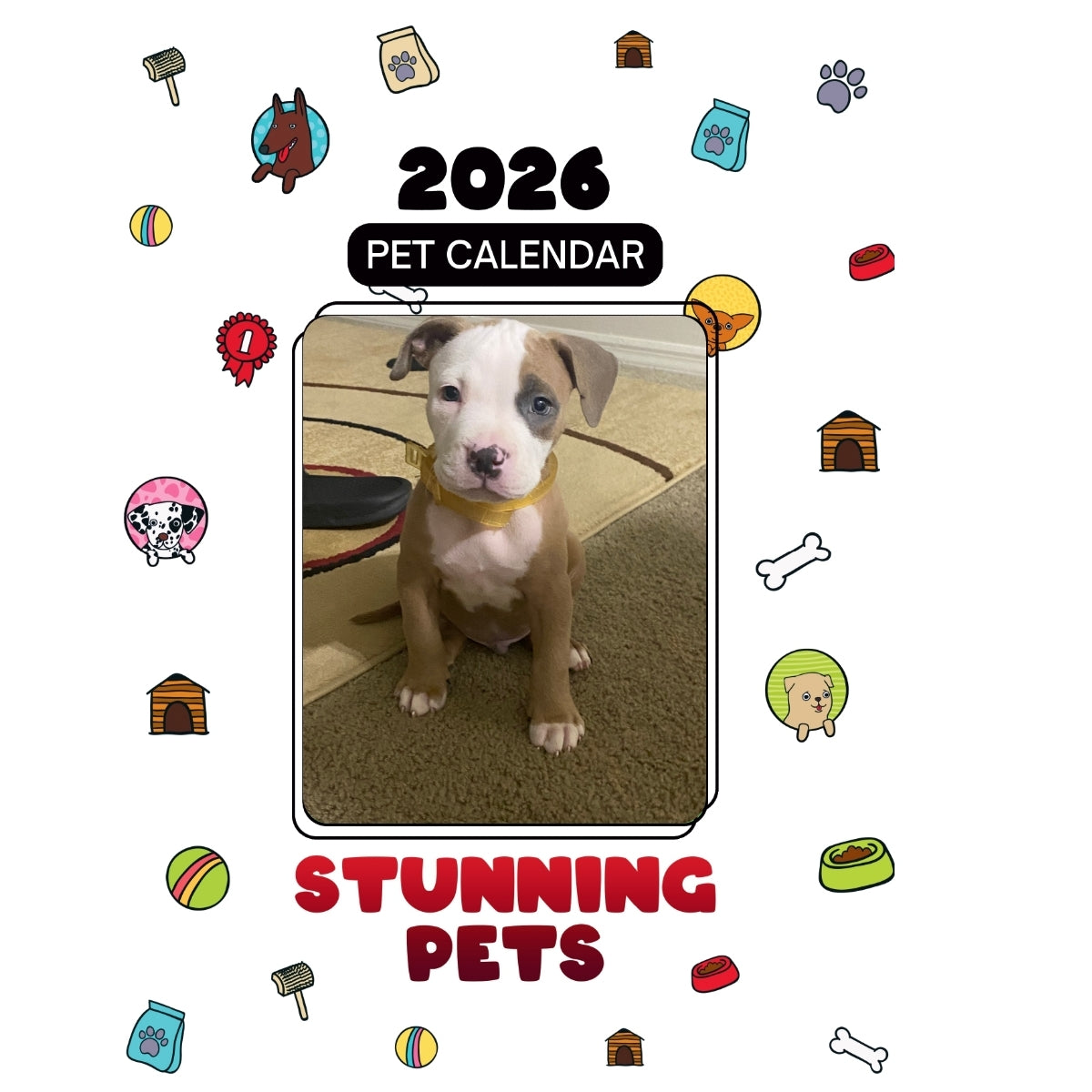 Lotto Headlines Stunning Pets: A 2026 Pet Calendar