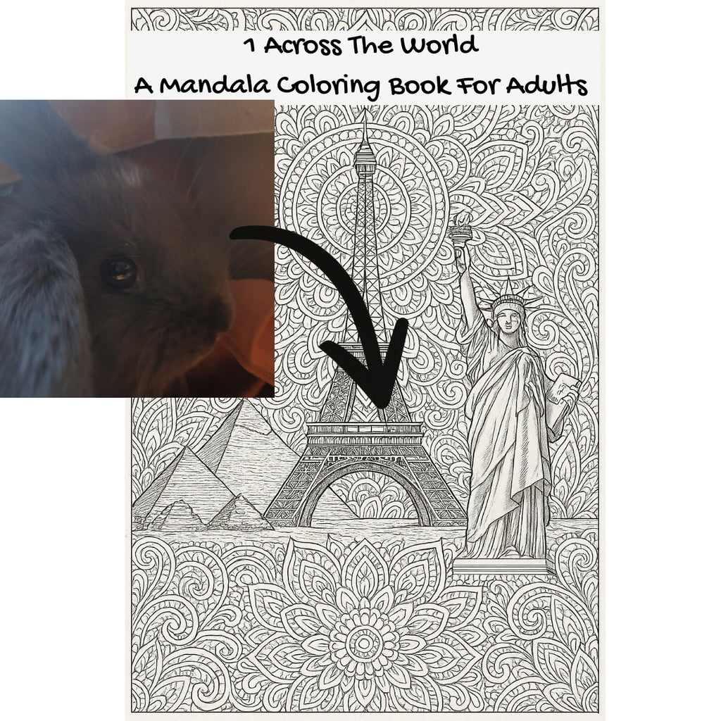 1 Across The World: A Mandala Coloring Book For Adults