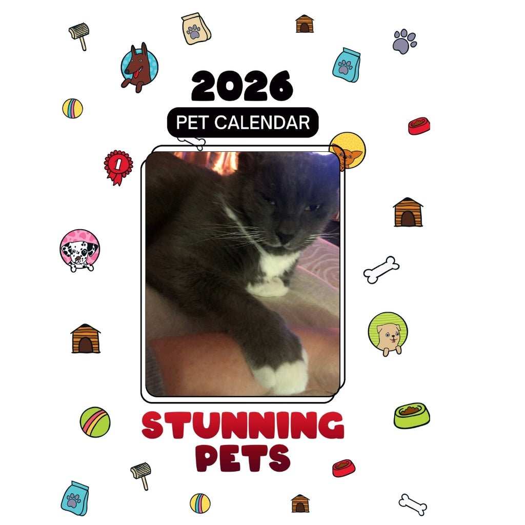 1 Headlines Stunning Pets: A 2026 Pet Calendar