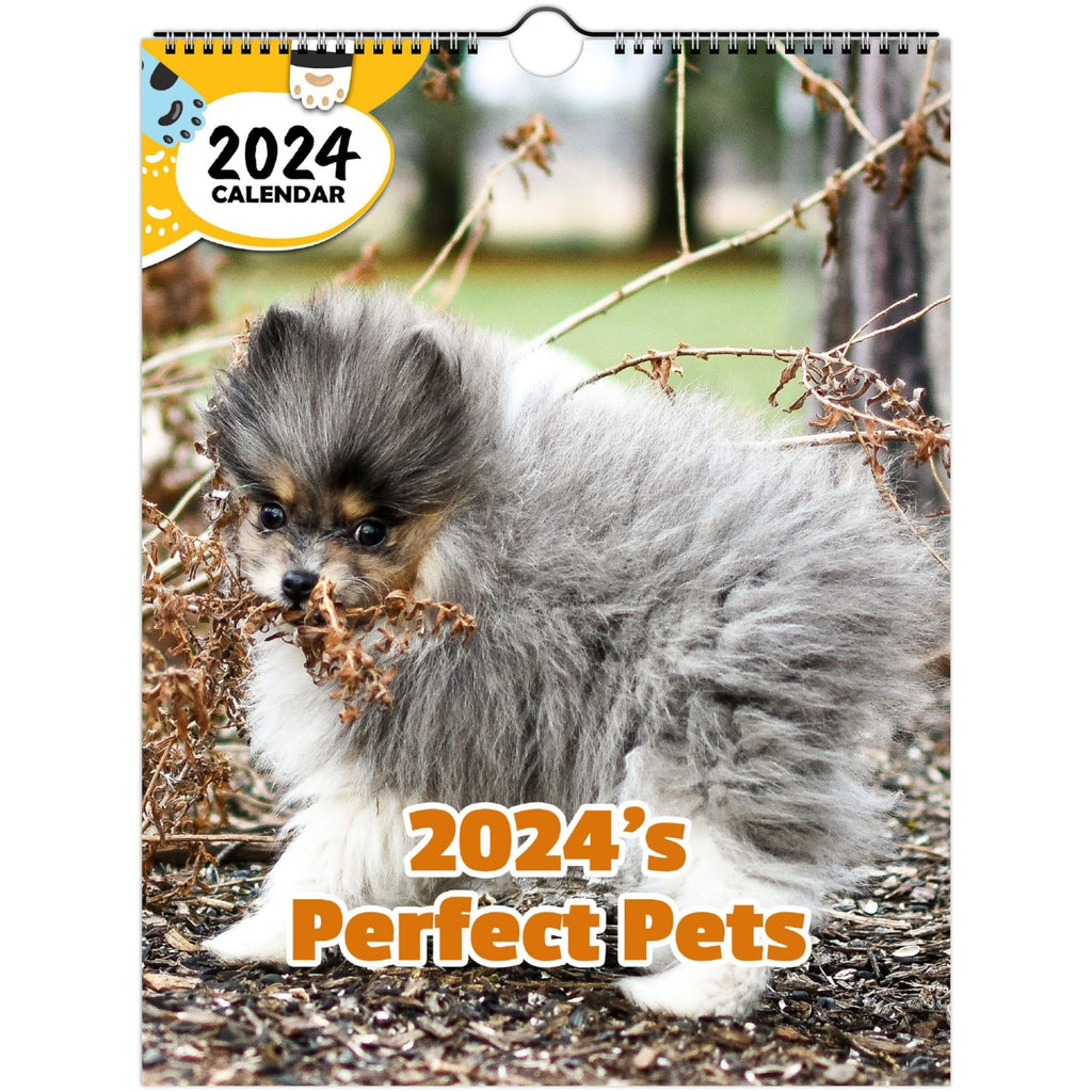 2024's Perfect Pets: 2024 Wall Calendar (Published)