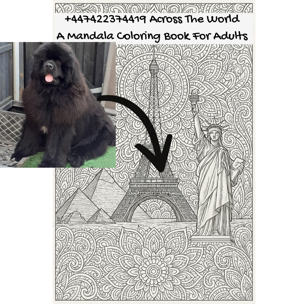 +447422374419 Across The World: A Mandala Coloring Book For Adults