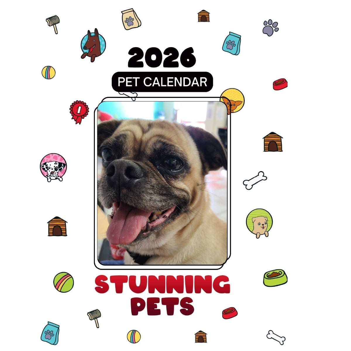 1 Headlines Stunning Pets: A 2026 Pet Calendar