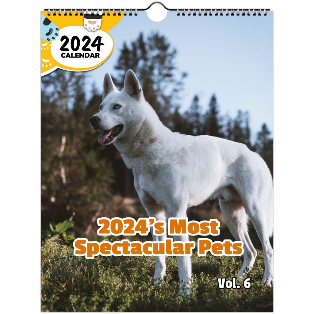 2024's Most Spectacular Pets Volume Six: 2024 Wall Calendar (Published)