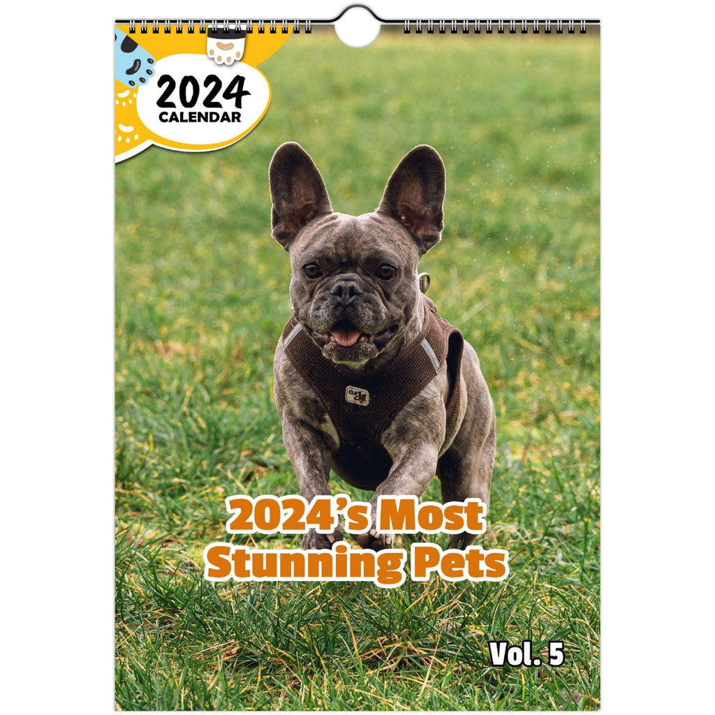 2024's Most Stunning Pets Volume Five: 2024 Wall Calendar (Published)
