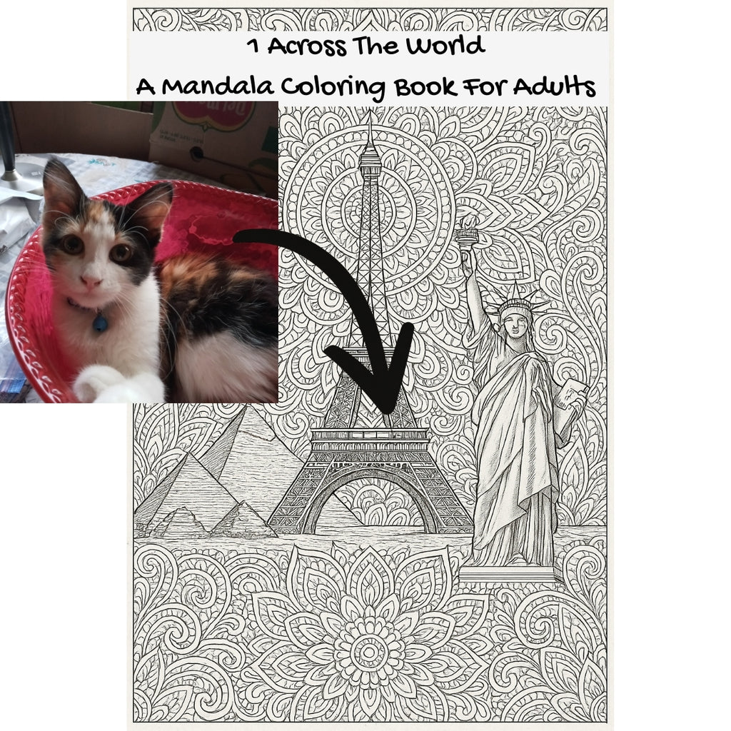 1 Across The World: A Mandala Coloring Book For Adults