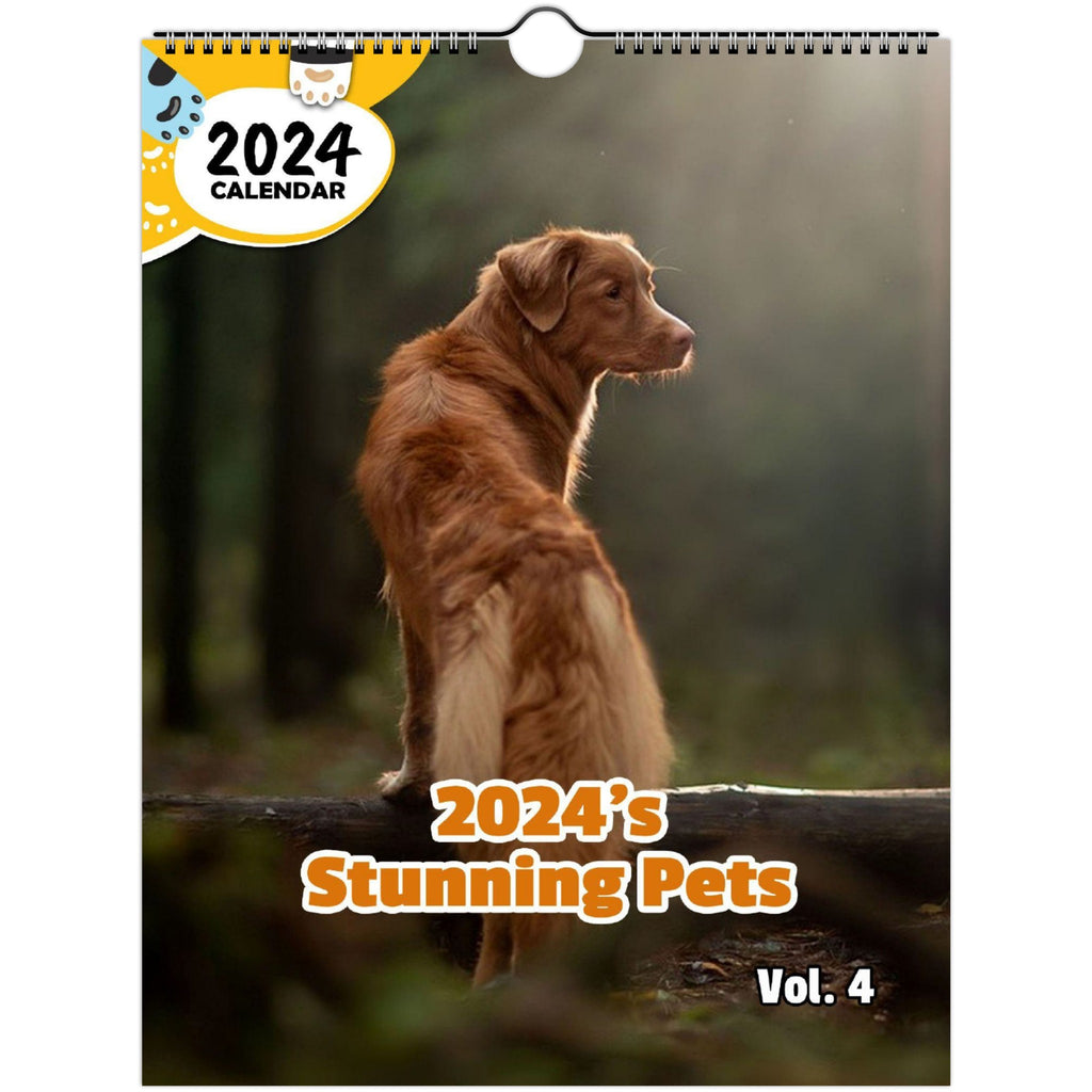 2024's Stunning Pets Volume Four: 2024 Wall Calendar (Published)