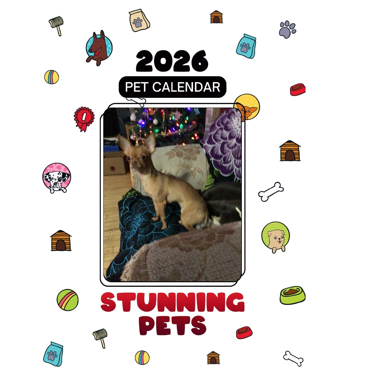 1 Headlines Stunning Pets: A 2026 Pet Calendar