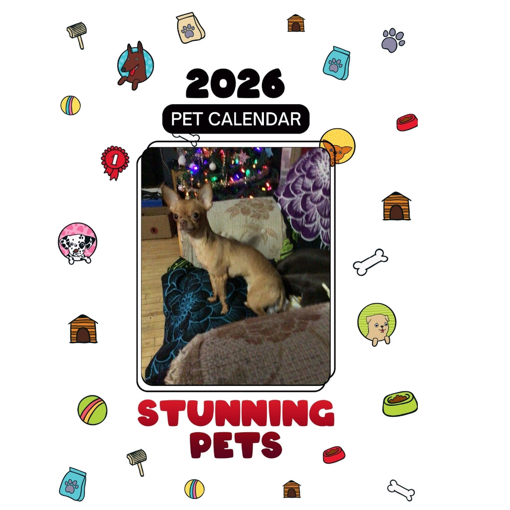 1 Headlines Stunning Pets: A 2026 Pet Calendar