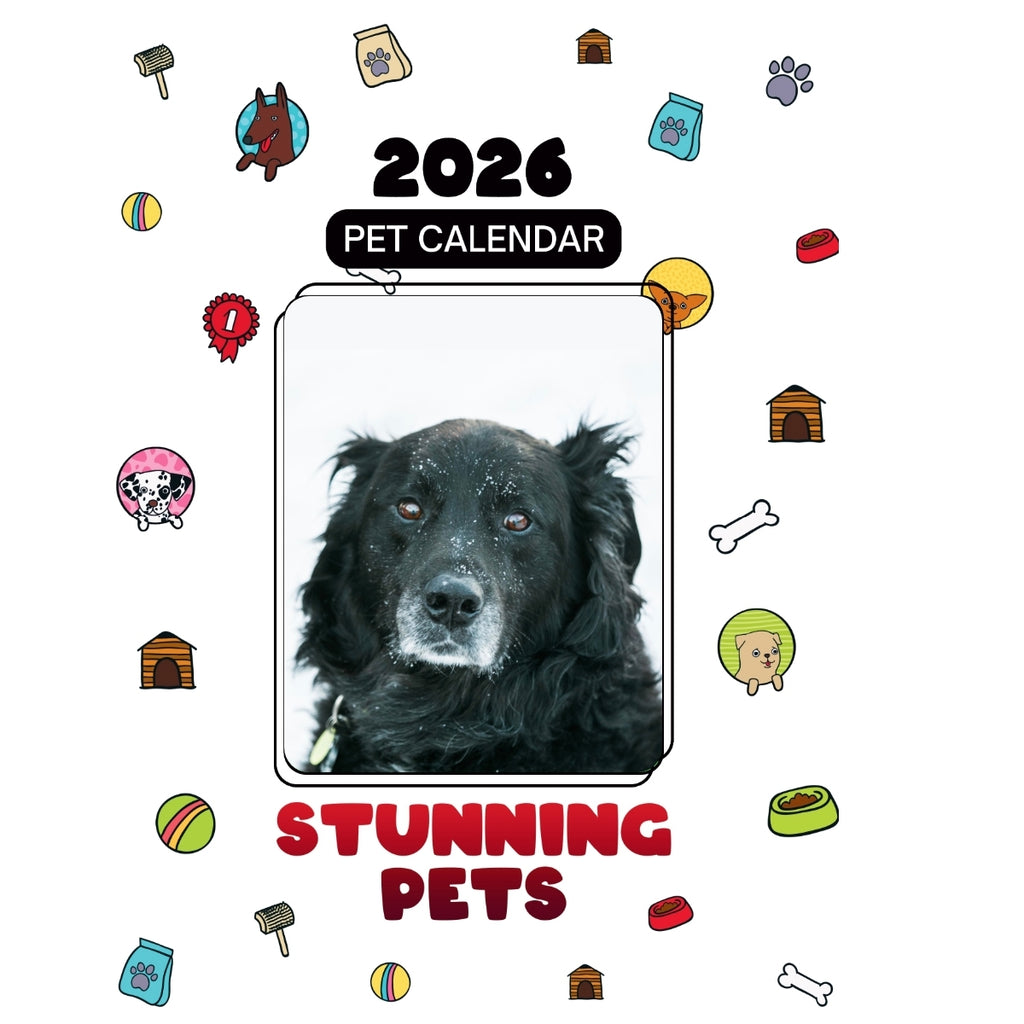2Bit Headlines Stunning Pets: A 2026 Pet Calendar