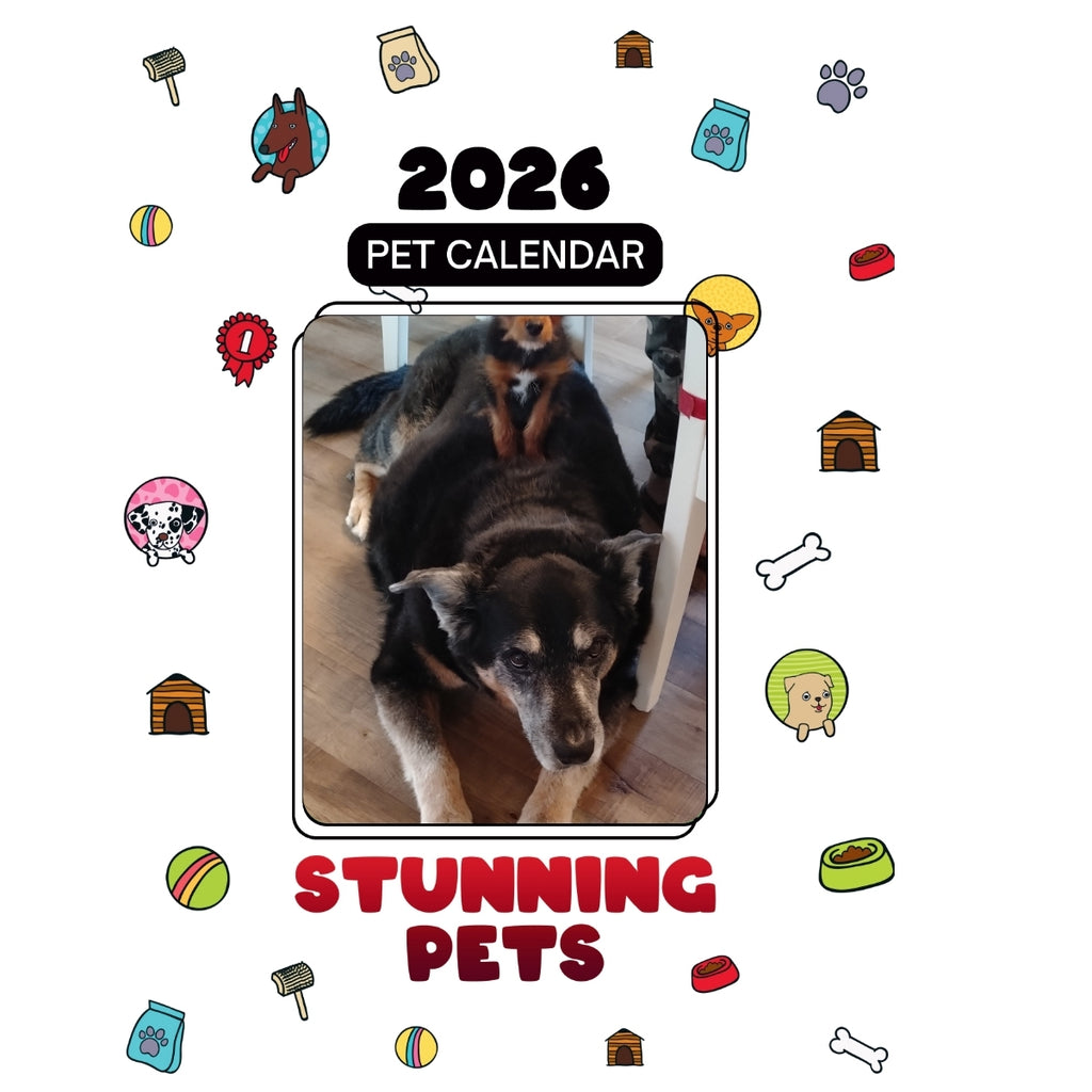 2 Headlines Stunning Pets: A 2026 Pet Calendar