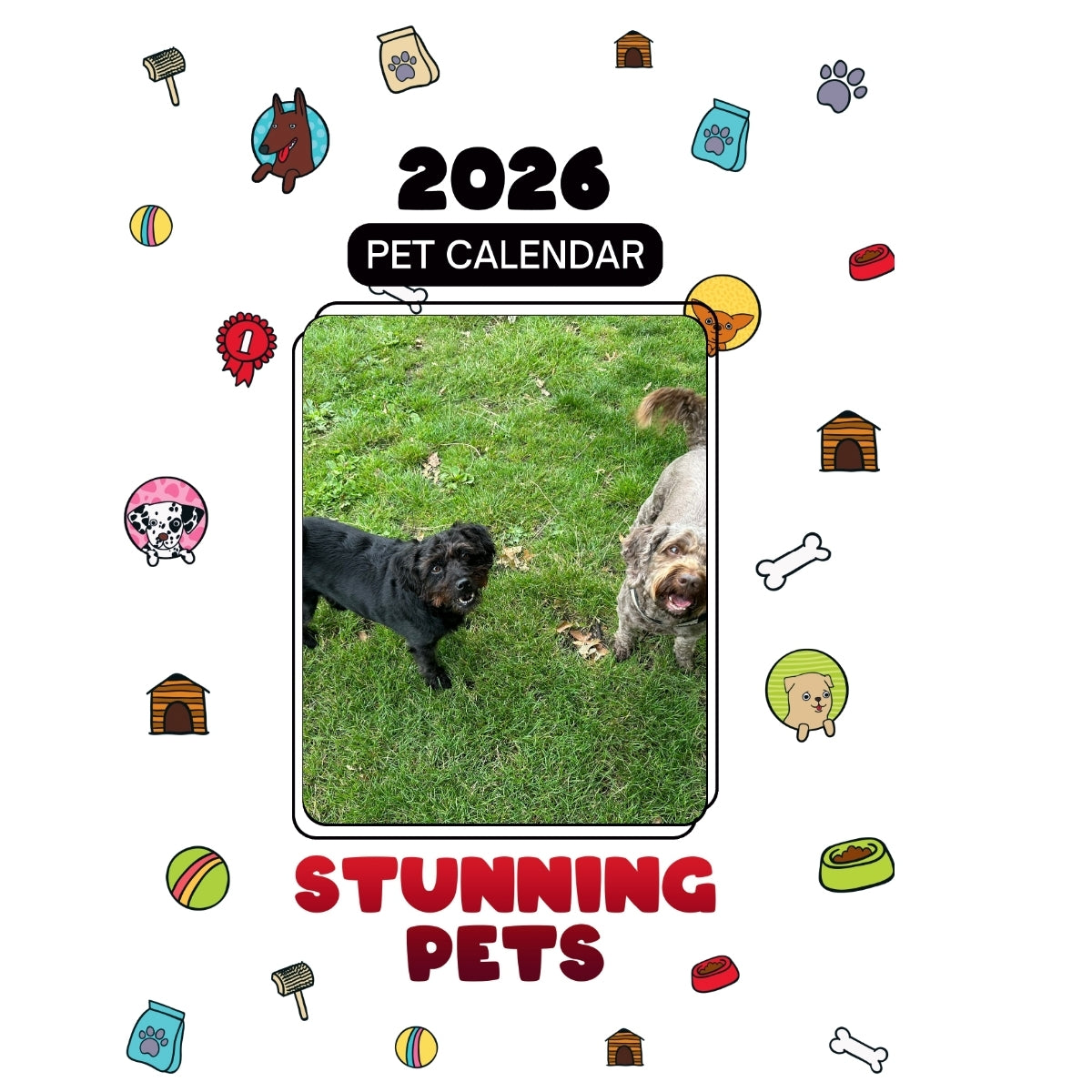 Harley and Layla Headlines Stunning Pets: A 2026 Pet Calendar